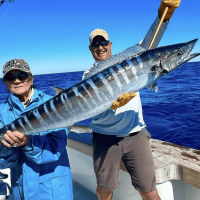 Wahoo fish being caught