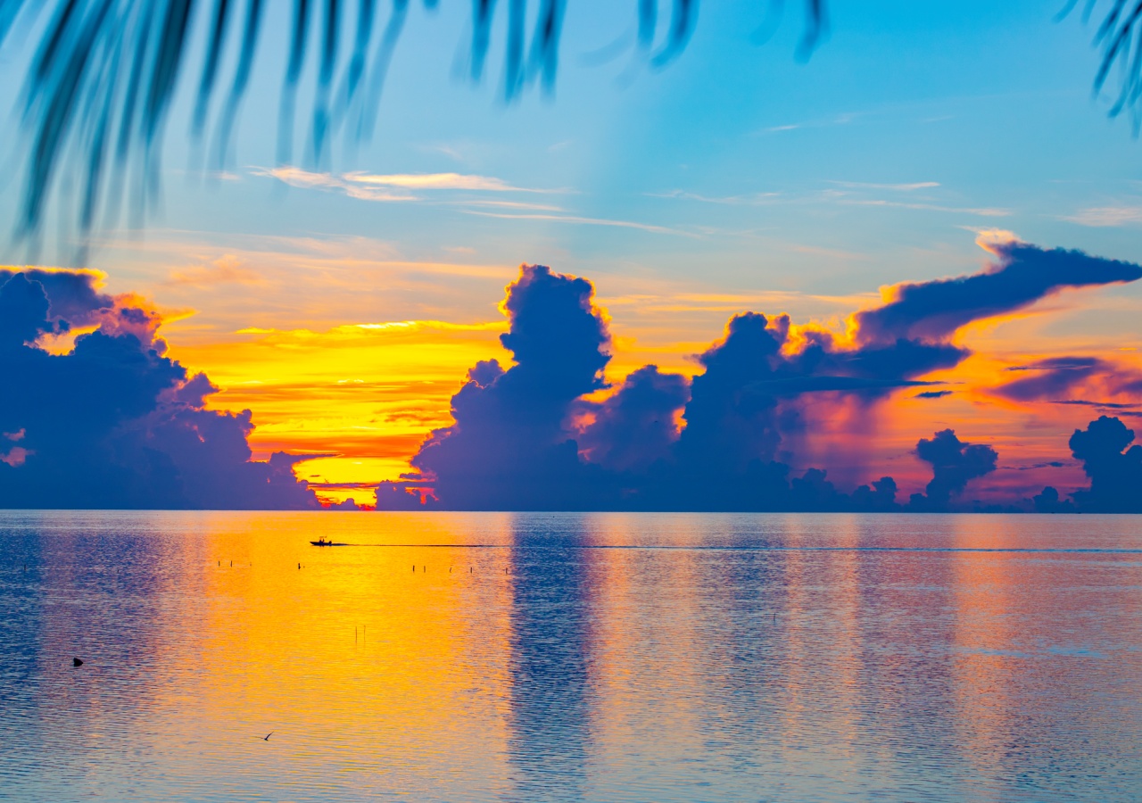 Gorgeous sunset over the water