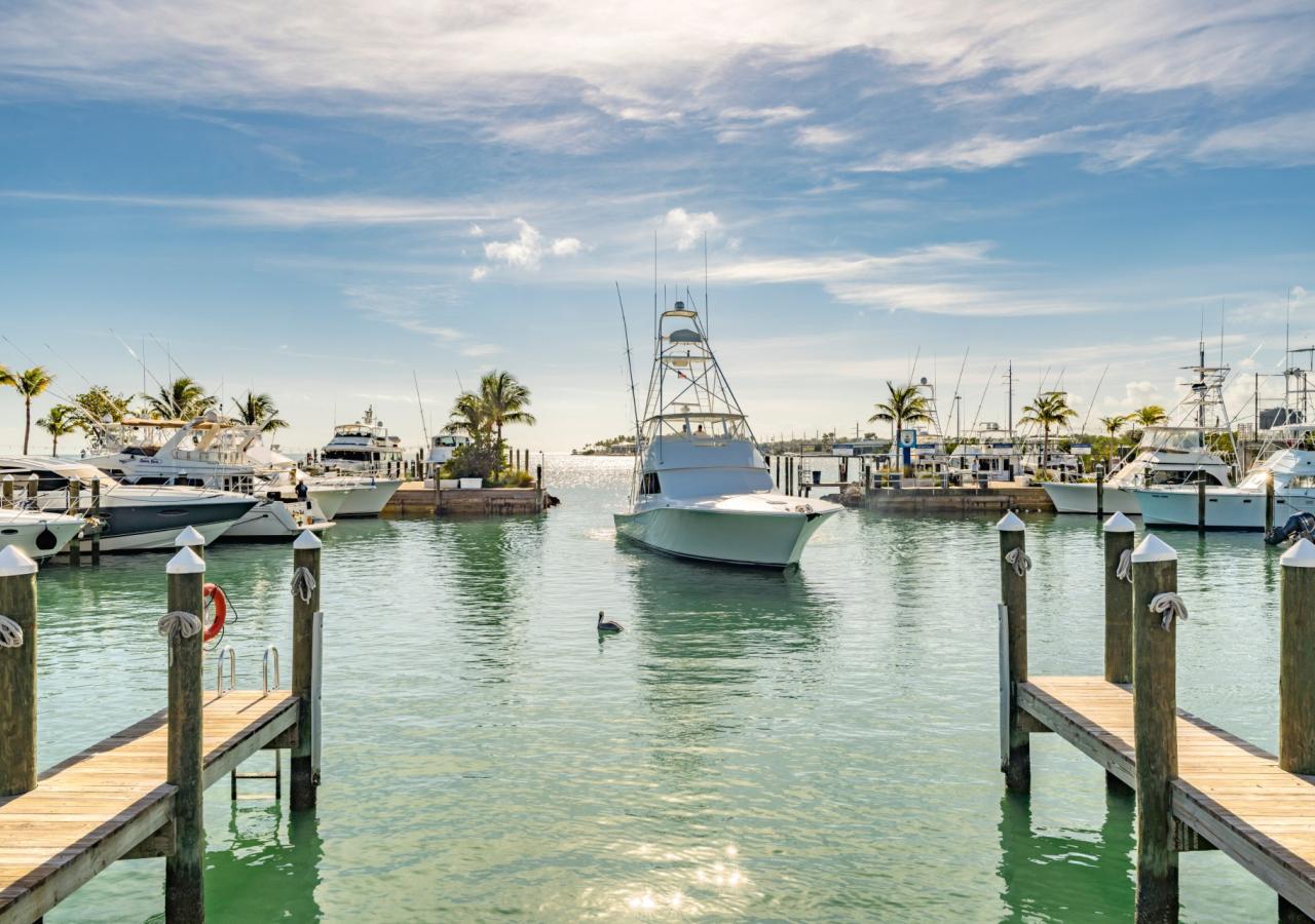 Boats in docked