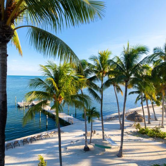 The view at Amara Cay shows palm trees and the ocean.