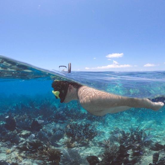 A person snorkeling.