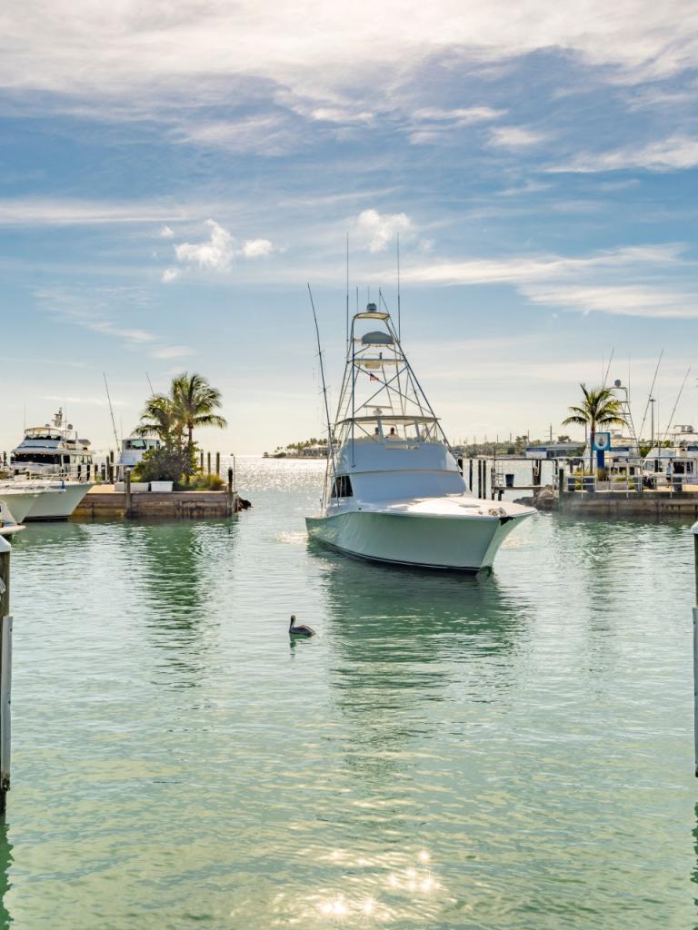 Boats in docked